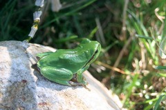 Killikus&reg; Fotographie